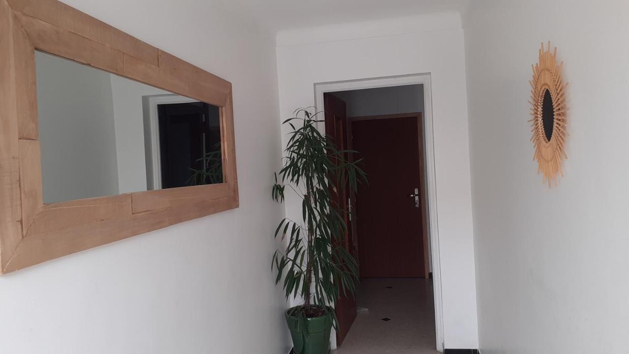 Bel Avec Grande Terrasse Ensoleillee Et Jardin Apartment *