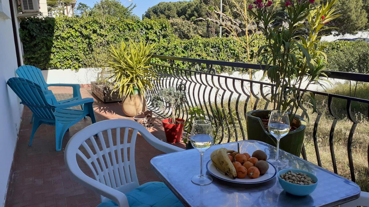 Bel Avec Grande Terrasse Ensoleillée Et Jardin Perpignan